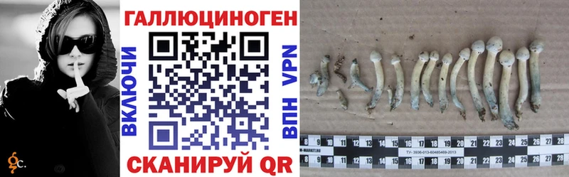 Купить  Комсомольск  Псилоцибиновые грибы Psilocybine cubensis 